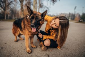 מהפכת הפנסיונים בישראל – הבית השני של החברים על ארבע